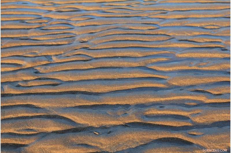 Beach Sand Ripples Reveal Ancient Weather Patterns