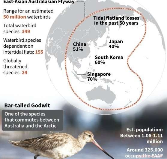 Study Finds Wetlands Vanish Three Times Faster Than Forests, Threatening Climate Stability