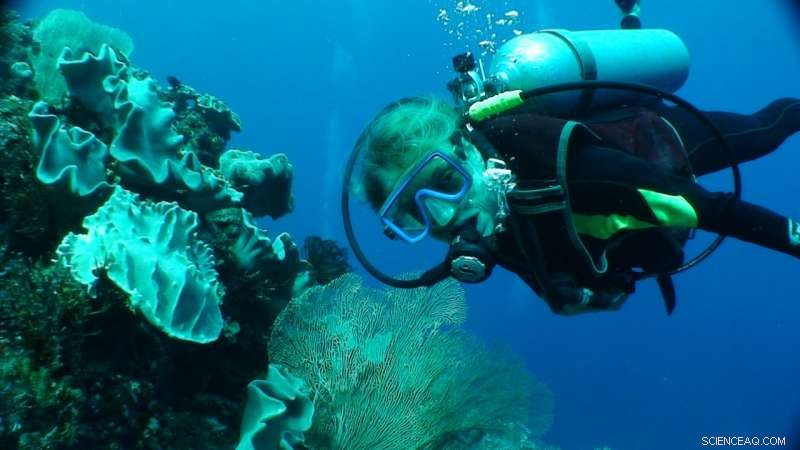 Large Coral Reef Areas Can Be Successfully Rehabilitated