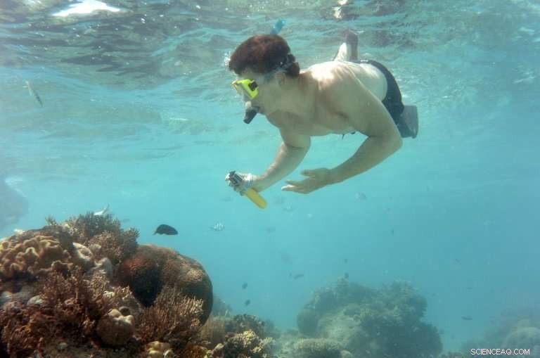 Great Barrier Reef: Balancing Scientific Warnings and Tourism Interests