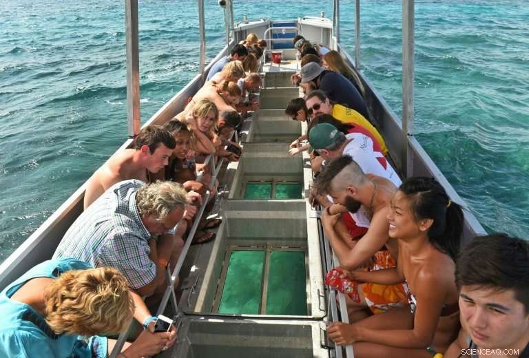 Great Barrier Reef: Balancing Scientific Warnings and Tourism Interests