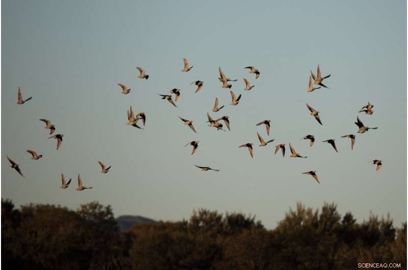 Urgent Call: Bolstering Environmental Protections to Prevent Irreversible Loss Amid Drought