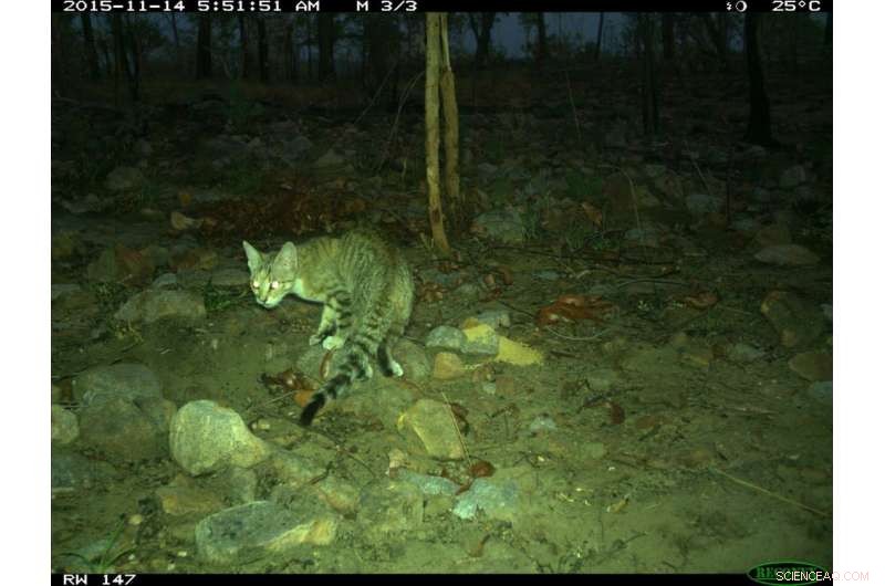 Urgent Call: Bolstering Environmental Protections to Prevent Irreversible Loss Amid Drought