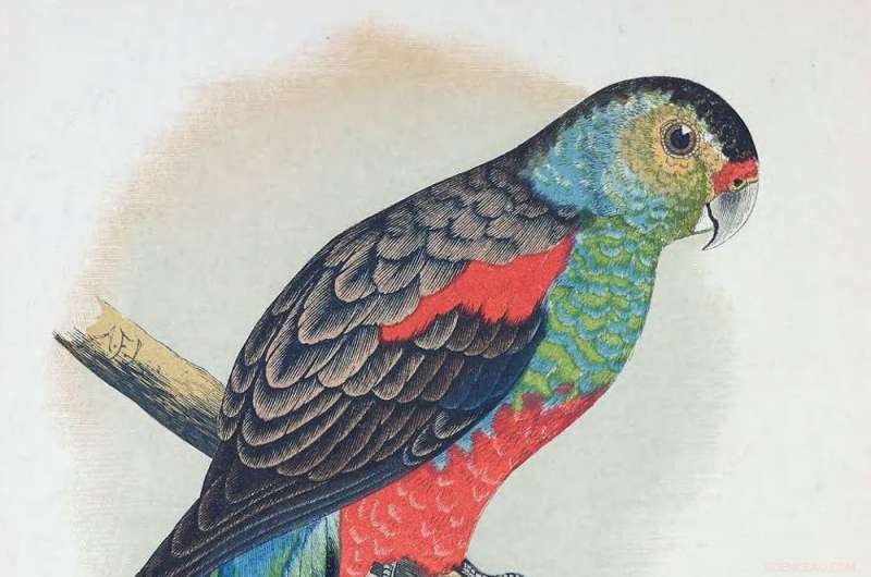 Urgent Call: Bolstering Environmental Protections to Prevent Irreversible Loss Amid Drought