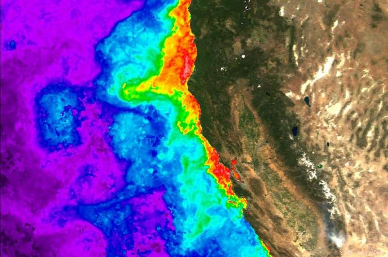 Scientists Uncover Genetic Drivers Behind Toxic Algal Blooms