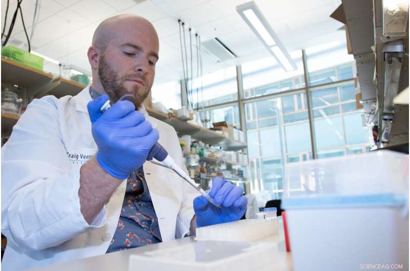 Scientists Uncover Genetic Drivers Behind Toxic Algal Blooms