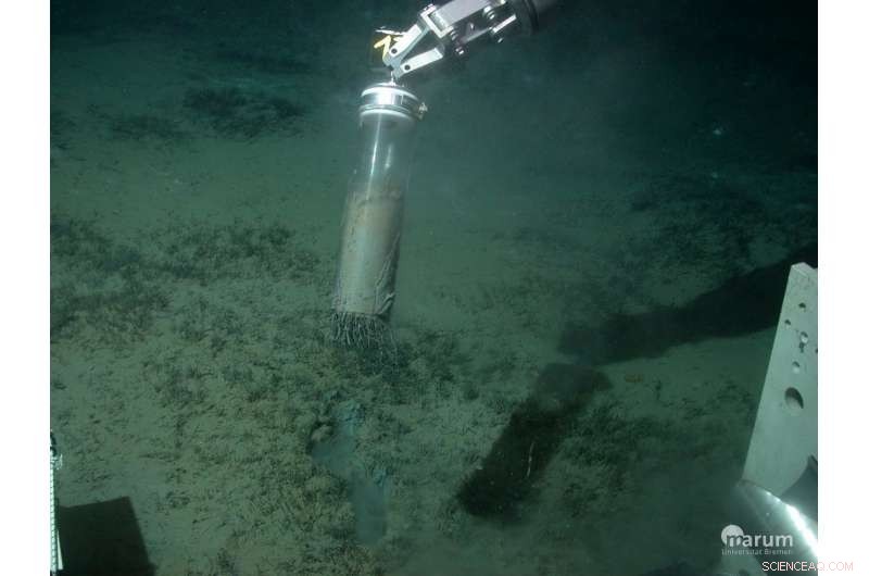 Tracking the Evolution of a Deep-Sea Greenhouse Gas Filter