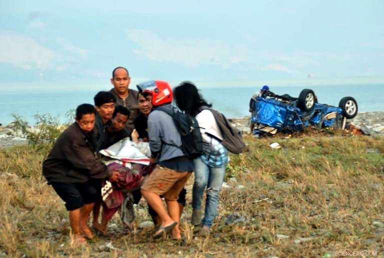 Understanding Tsunamis: Key Facts and Their Impact