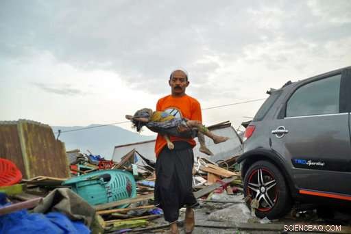 Indonesian Earthquake & Tsunami Devastate Coasts: Mass Casualties and Destruction
