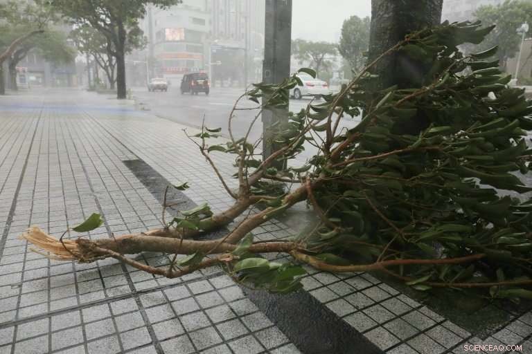 Severe Typhoon Strikes Okinawa, Threatens Mainland Japan