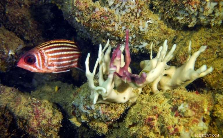 UN Report Reveals Key Challenges in Achieving the 1.5°C Climate Goal