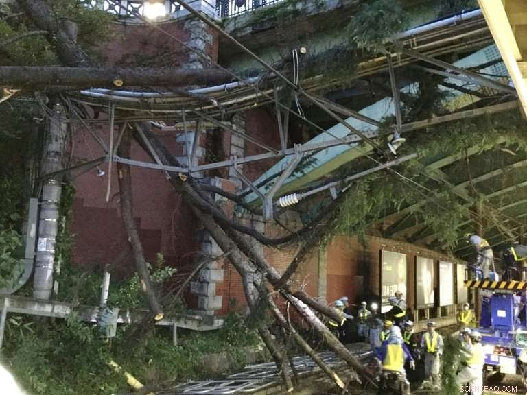 Four Fatalities Reported After Typhoon Strikes Japan