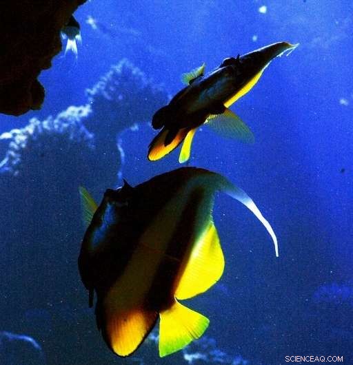 UN Report Urges Nations to Make Critical Climate Choices