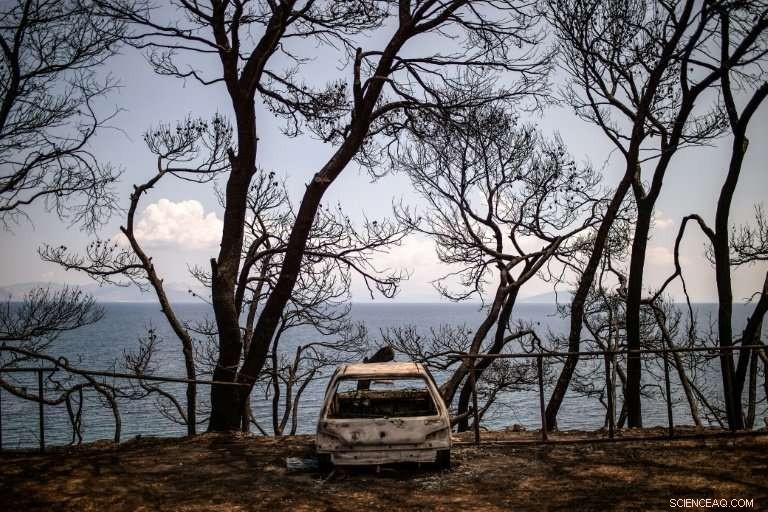 Study Warns European Forest Fires Will Escalate Even If Paris Climate Targets Are Met