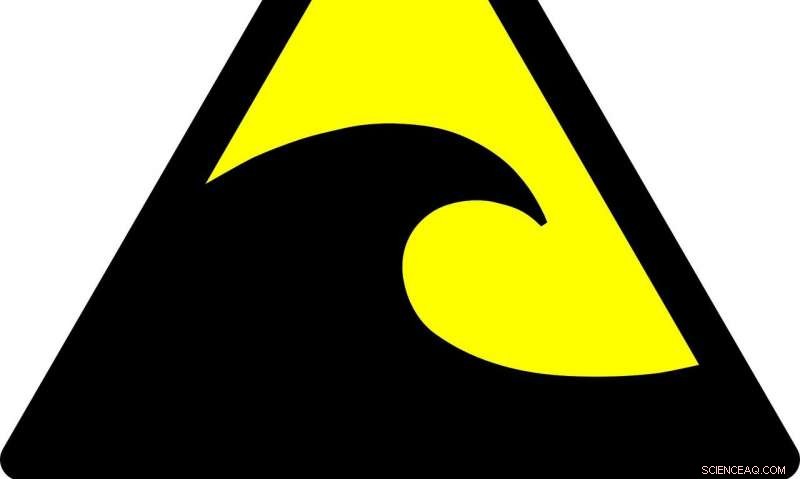 Assessing Indonesia’s Tsunami Early Warning System: Lessons from Palu