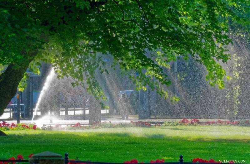 Safeguarding Urban Trees from Intensifying Summer Heat