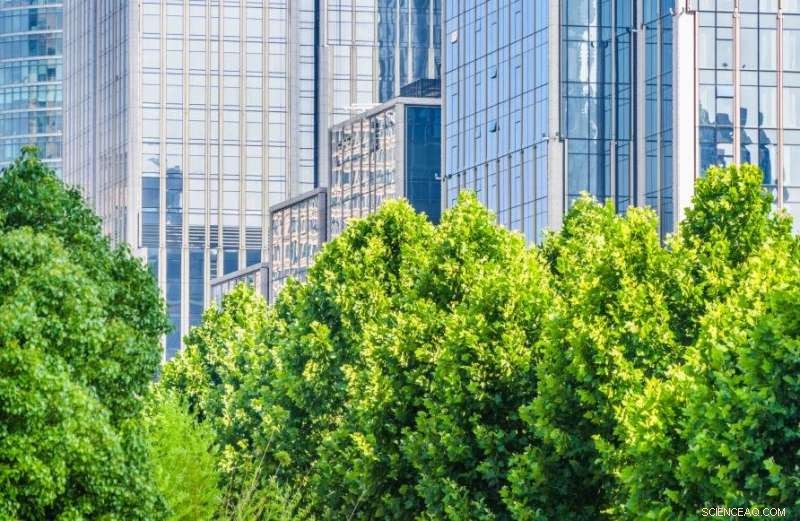 Safeguarding Urban Trees from Intensifying Summer Heat