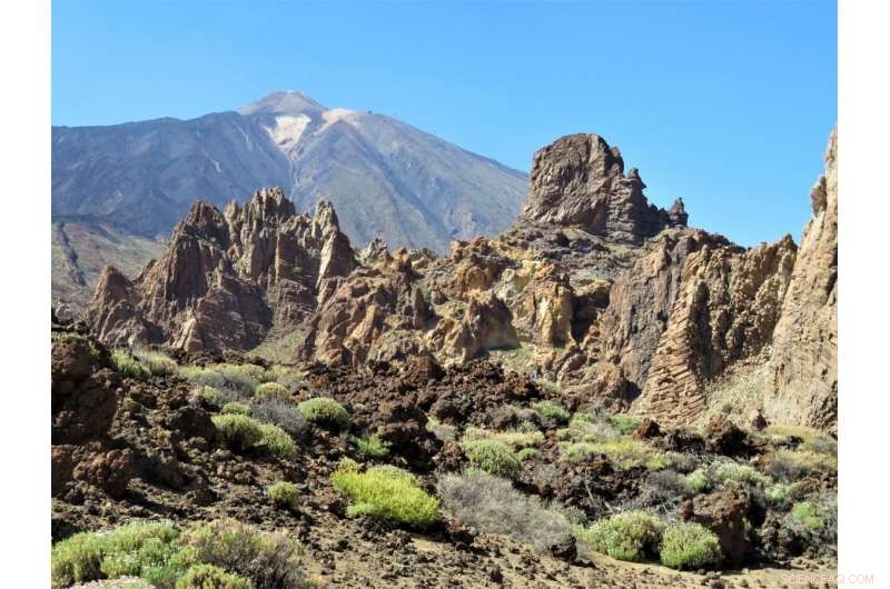 Assessing Mercury and Saharan Dust Levels in the Canary Islands