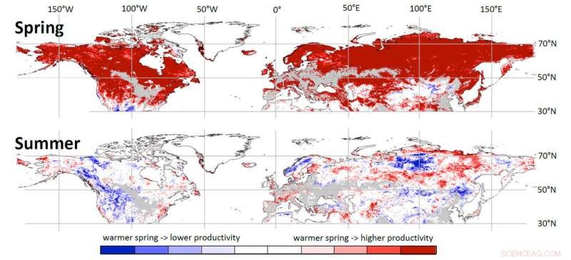 Warmer Springs Threaten Summer Plant Growth in Northern Regions