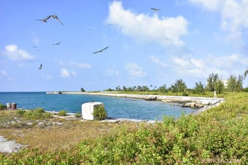 Scientists Evacuated from Johnston Atoll as Hurricane Walaka Approaches