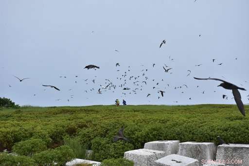 Scientists Evacuated from Johnston Atoll as Hurricane Walaka Approaches
