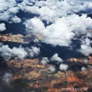 Rainforest-Friendly Livelihoods Beat Gold Mining in Profitability