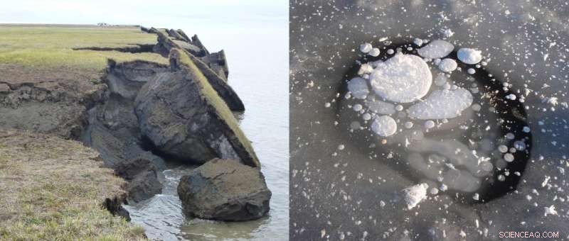 Alaska’s Carbon Assessment Reveals Key Implications for National Climate Policy