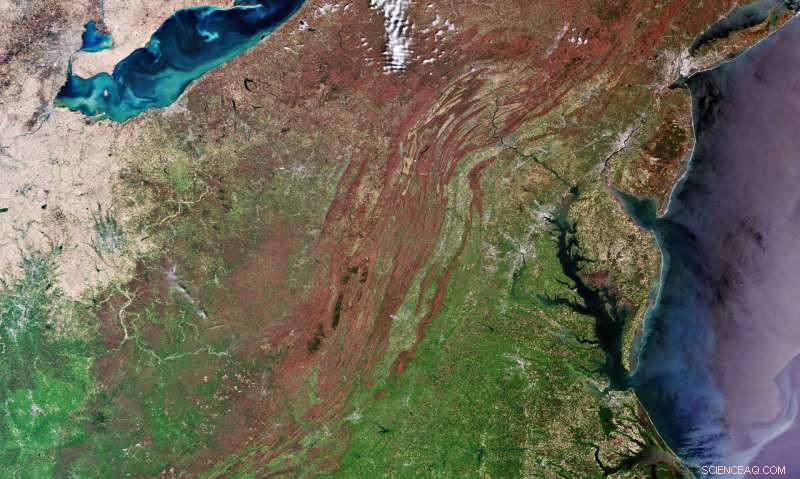 Eastern U.S. Revealed: Copernicus Sentinel‑3 Satellite Imagery