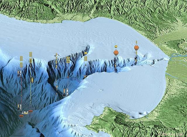Turbidity Currents Move the Seafloor: New Insights into Submarine Canyon Dynamics