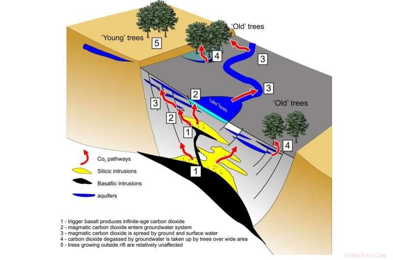 Unveiling the Hidden Age of Volcanoes: What It Means for Earth and Us