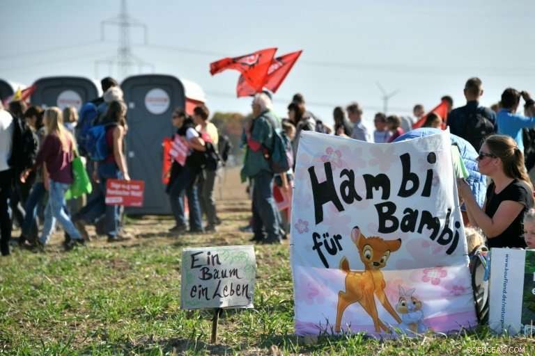 Thousands Rally in Hambi to Protect Forest: Germany s Largest Anti‑Coal Protest