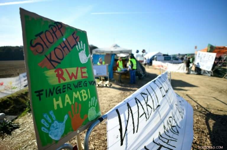 Thousands Rally in Hambi to Protect Forest: Germany s Largest Anti‑Coal Protest
