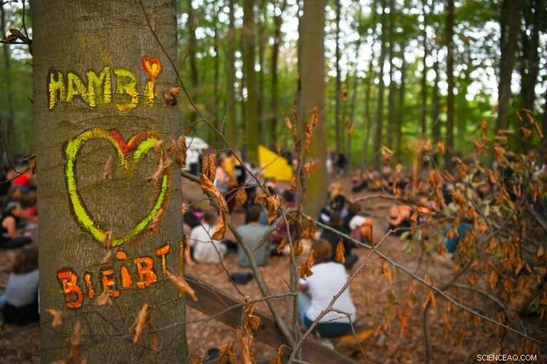 Thousands Rally in Hambi to Protect Forest: Germany s Largest Anti‑Coal Protest