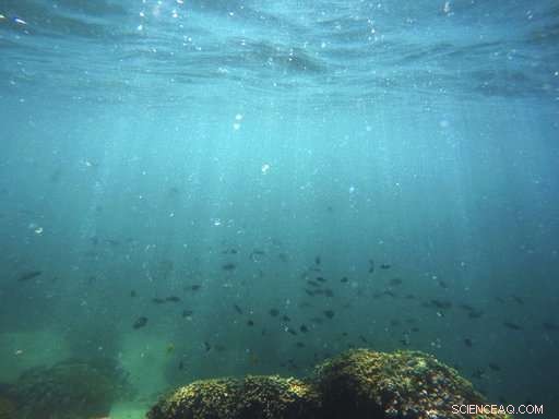 UN Climate Report Issues Urgent Life‑Saving Warning on Global Warming