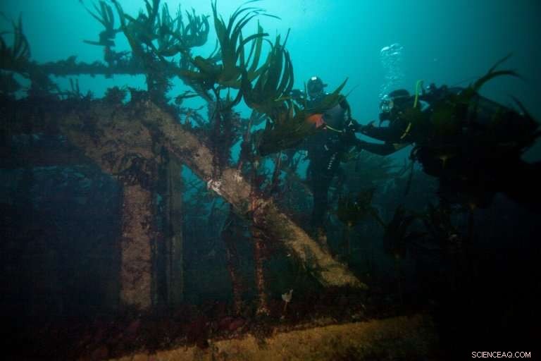 40 Years After Sinking, Brittany Tanker Wreck Draws Divers