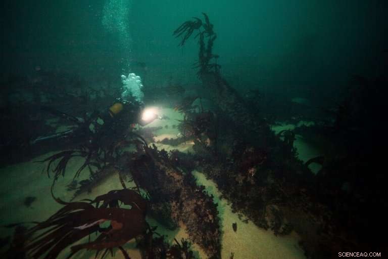 40 Years After Sinking, Brittany Tanker Wreck Draws Divers