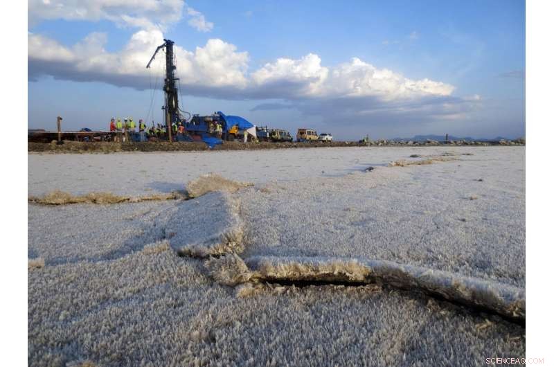 Dryer, Less Predictable Climate Likely Accelerated Human Evolution