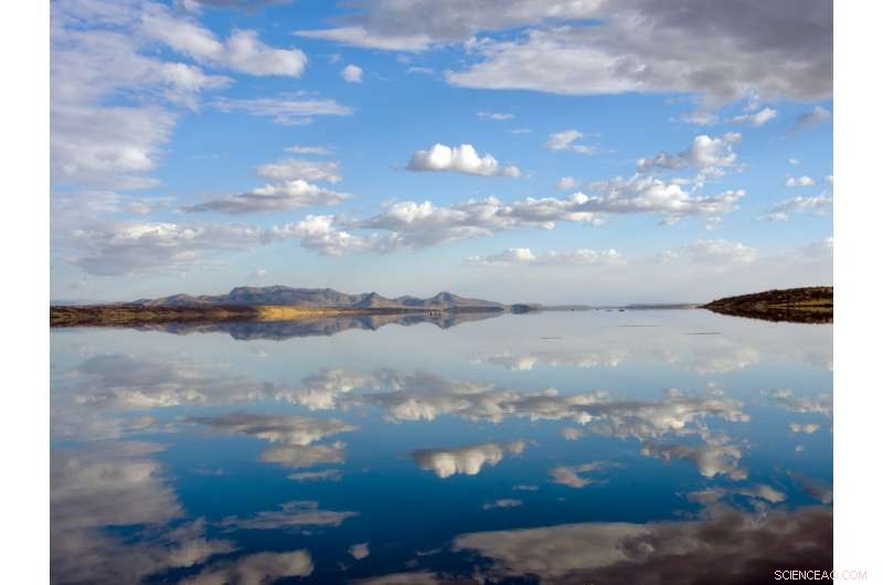 Dryer, Less Predictable Climate Likely Accelerated Human Evolution