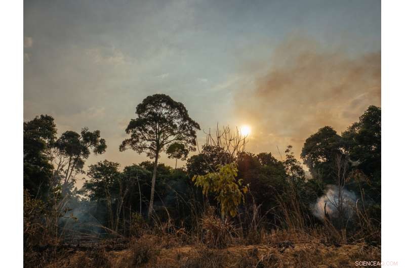 Amazonian Forest Fires Emit Up to Four Times Higher Carbon Than Predicted