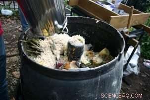 Turning NYC Food Waste into Community Value: Composting, Donations, and Sustainability