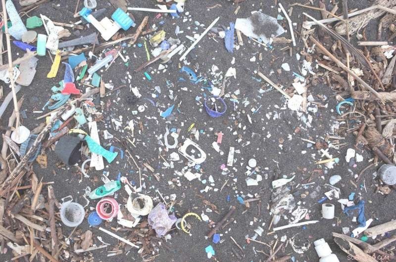Plastic Pollution Surge: Remote South Atlantic Islands Hit by 10‑Fold Rise in Debris