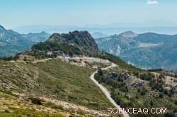 Leveraging Earth Observations to Strengthen Terrestrial and Marine Ecosystems