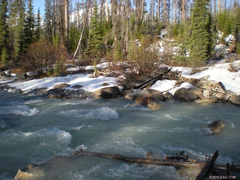 Diminished Sierra Nevada Snowmelt Endangers California Agriculture