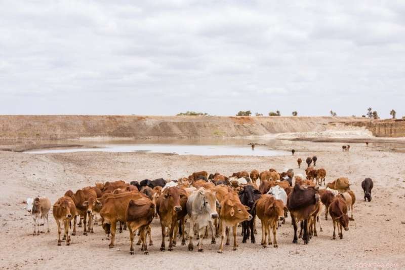 Southern Africa’s Path to Managing Rising Temperatures