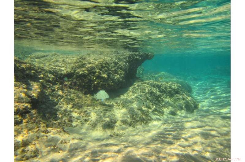 Southern Africa’s Path to Managing Rising Temperatures