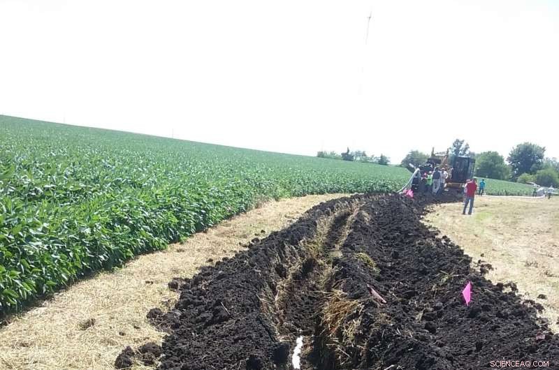 Effective Nitrogen Management in Agricultural Fields with Water Control Systems