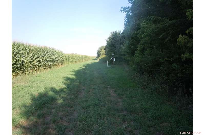 Effective Nitrogen Management in Agricultural Fields with Water Control Systems