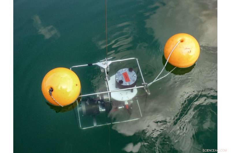 Enhancing Paleotemperature Reconstruction: Swiss Lakes as a Benchmark System