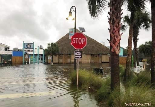 Hurricane Michael Strikes Florida Gulf Coast: Impact and Response