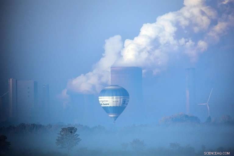 Study Reveals EU Forests Cannot Counteract Climate Change